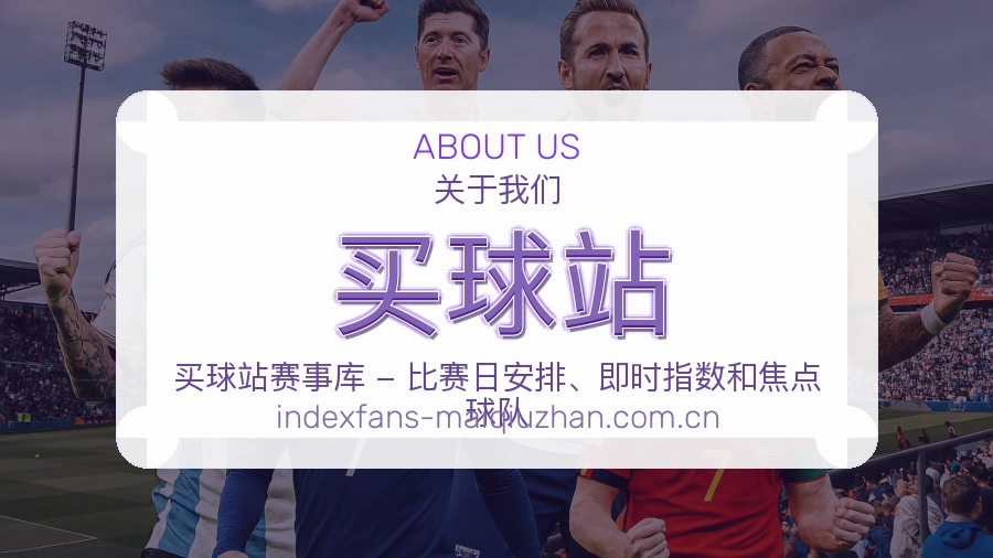 买球站观赛交流服务说明